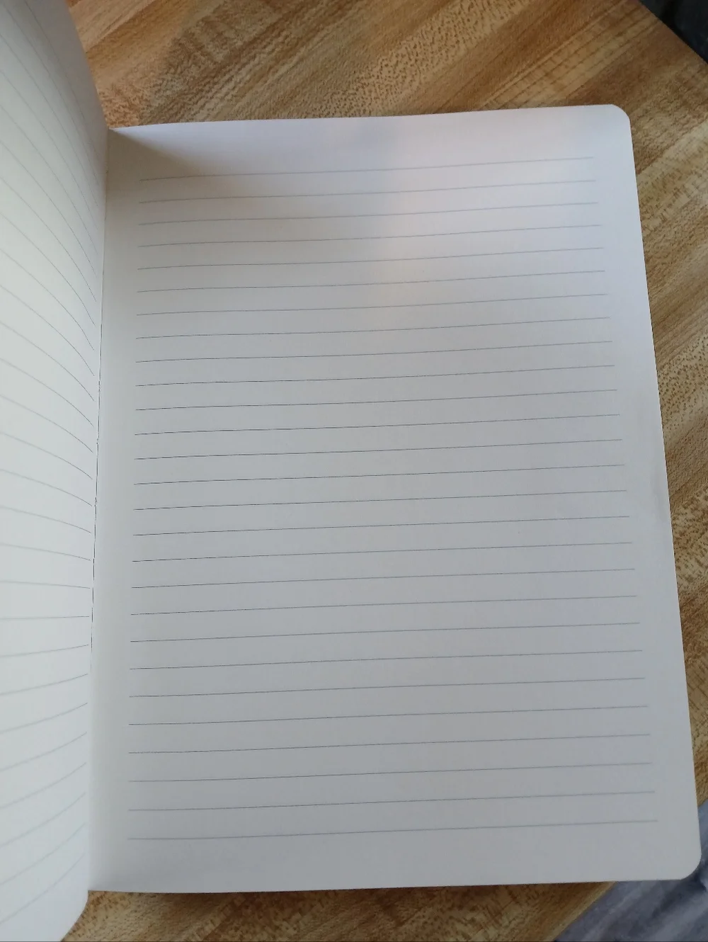 Studio Pink & Olive Chevron-Style Casey Notebook with Phone Loop